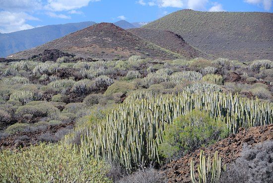 Reserva Natural Especial del Malpaís de Güímar