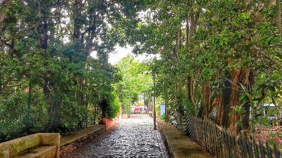 Tasca Las Marañuelas