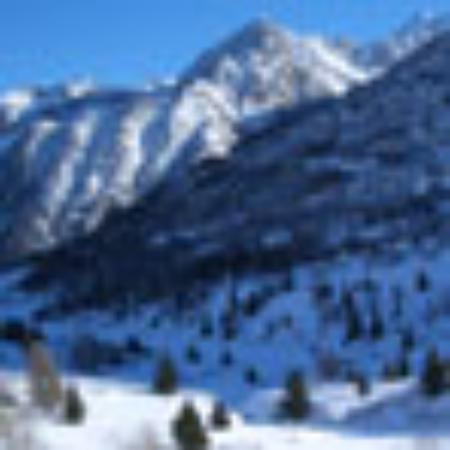 Bar Cafetería Politeama