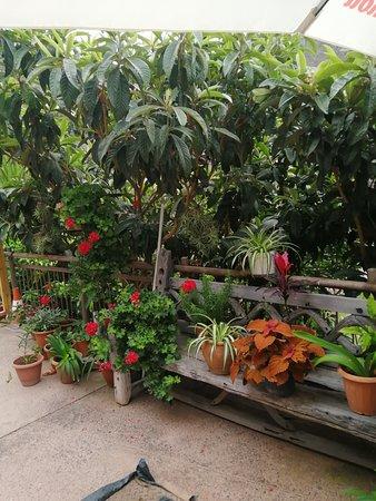 Bar Ristorante La Fuente