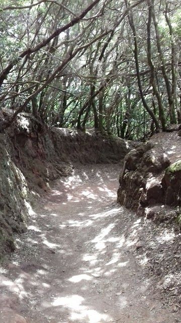 Sendero de los Sentidos