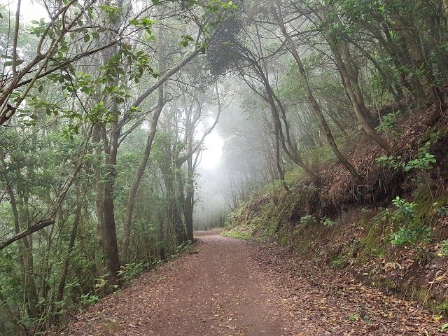 Water mountain trail