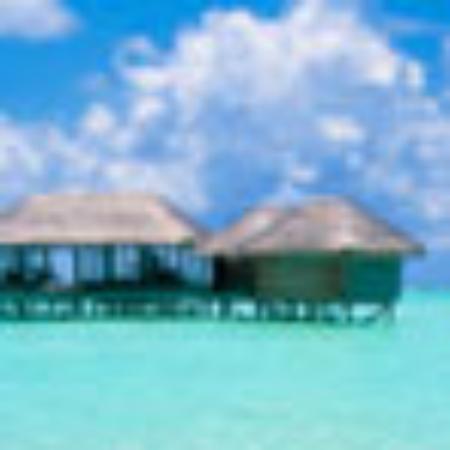 Tajinaste Clubhouse Restaurant & Bar