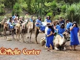 el Camello Center